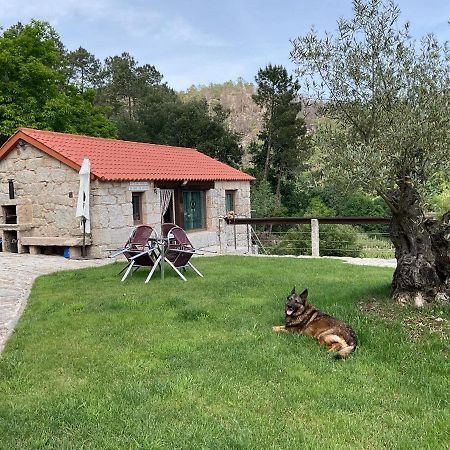 Da Man Da Moura Villa Ourense Ngoại thất bức ảnh