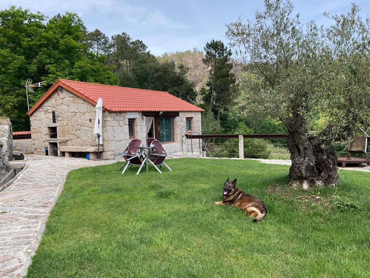 Da Man Da Moura Villa Ourense Ngoại thất bức ảnh